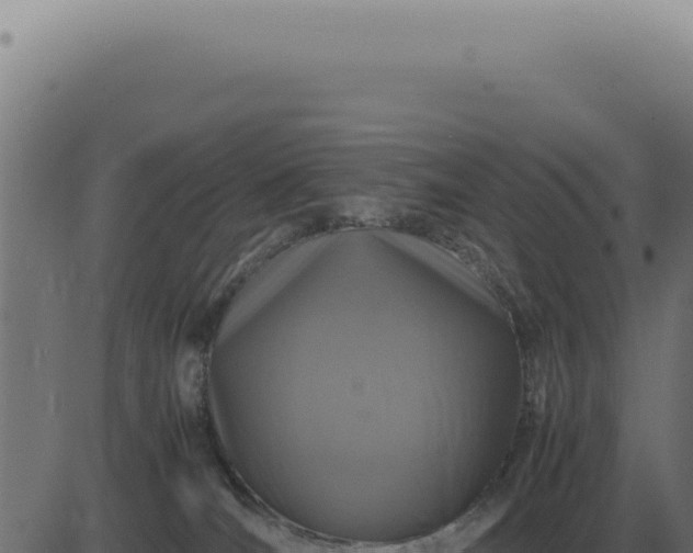 X0000083580036200702162129