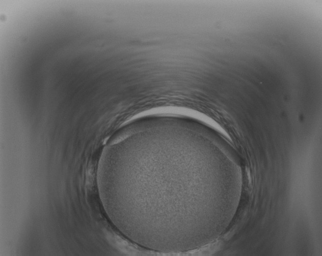 X0000083580037200702162129