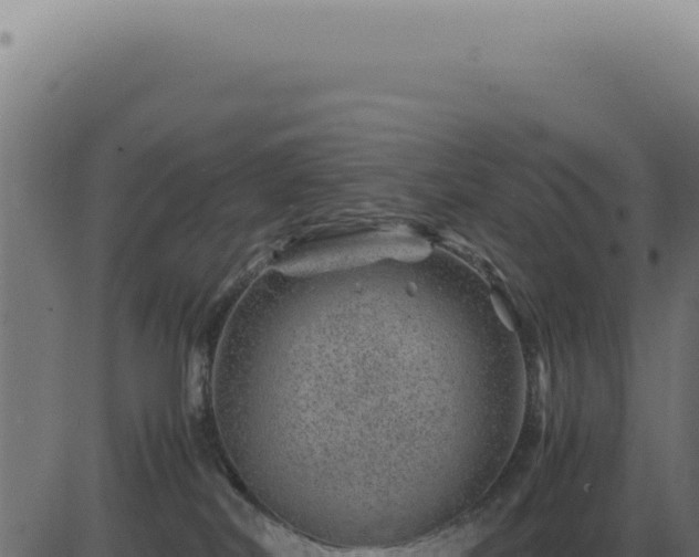 X0000083580038200702162129