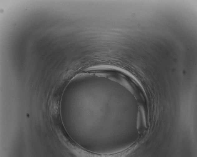 X0000083580039200702162129