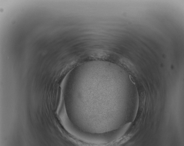 X0000083580040200702162129