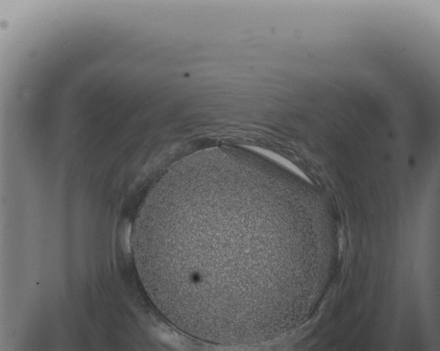 X0000083580041200702162129