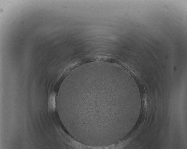 X0000083580042200702162129