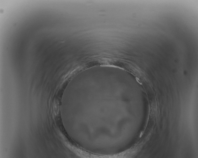 X0000083580043200702162129