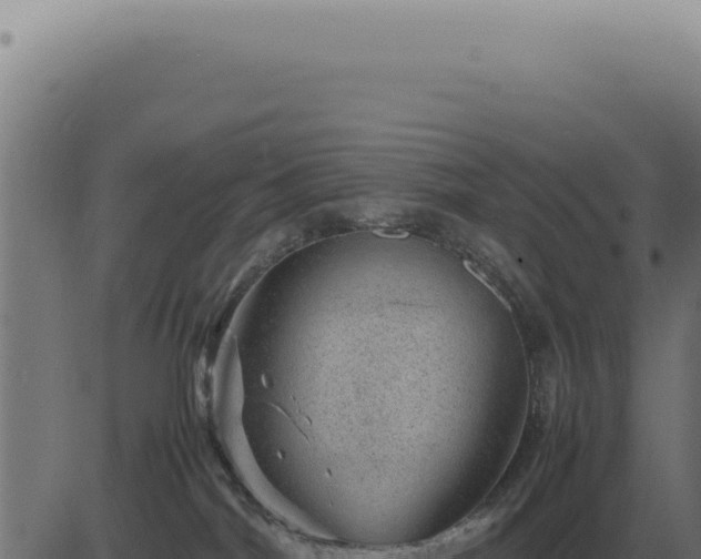 X0000083580044200702162129