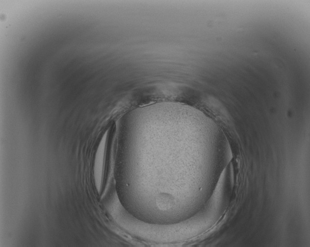 X0000083580045200702162129