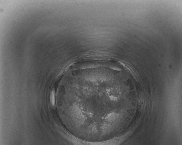 X0000083580046200702162129