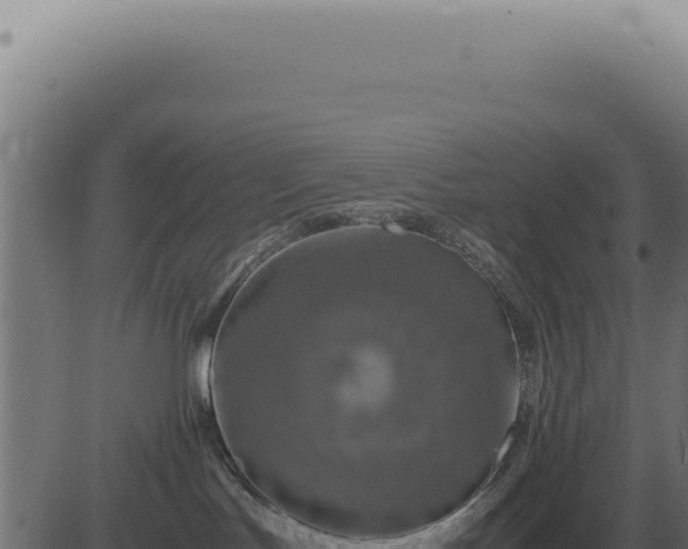 X0000083580047200702162129