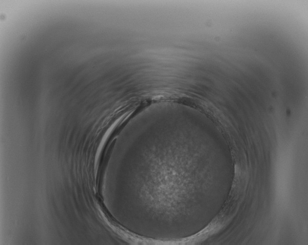 X0000083580048200702162129