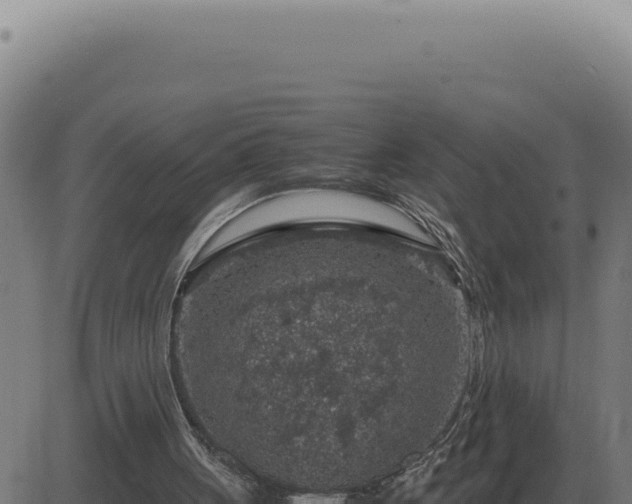 X0000083580051200702162128