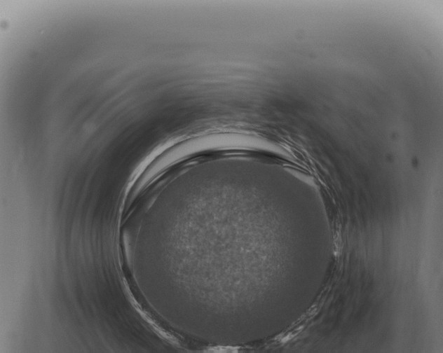 X0000083580052200702162128