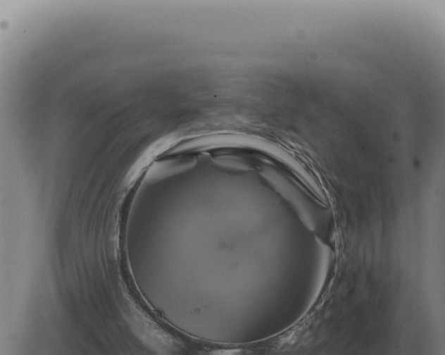 X0000083580054200702162128