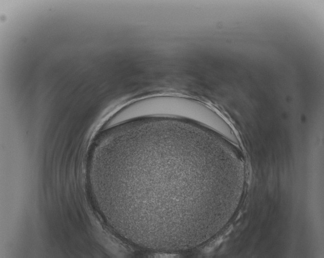 X0000083580055200702162128