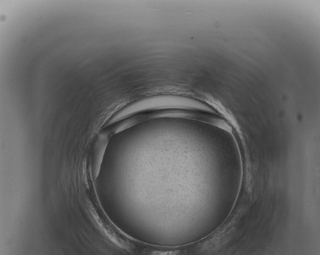 X0000083580057200702162128