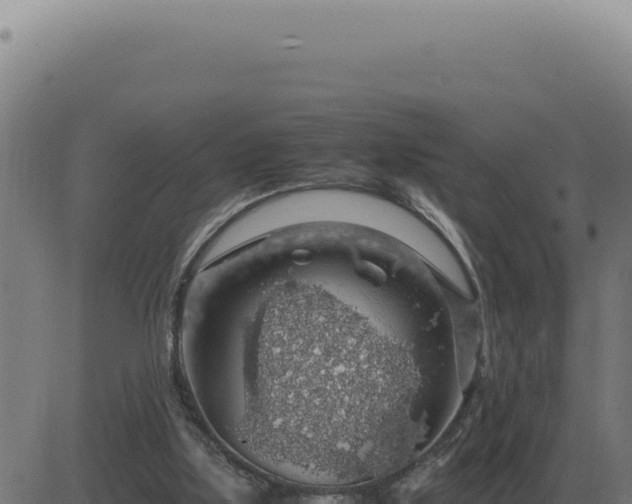 X0000083580059200702162128