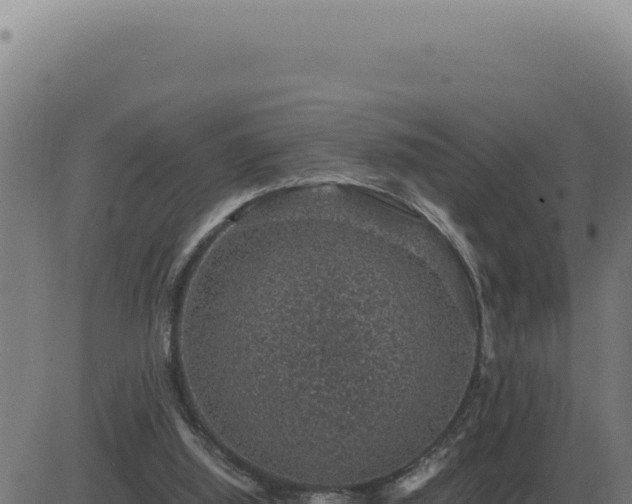 X0000083580060200702162128