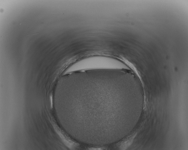 X0000083580061200702162128