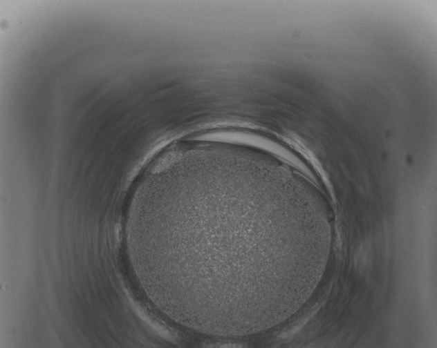 X0000083580063200702162128