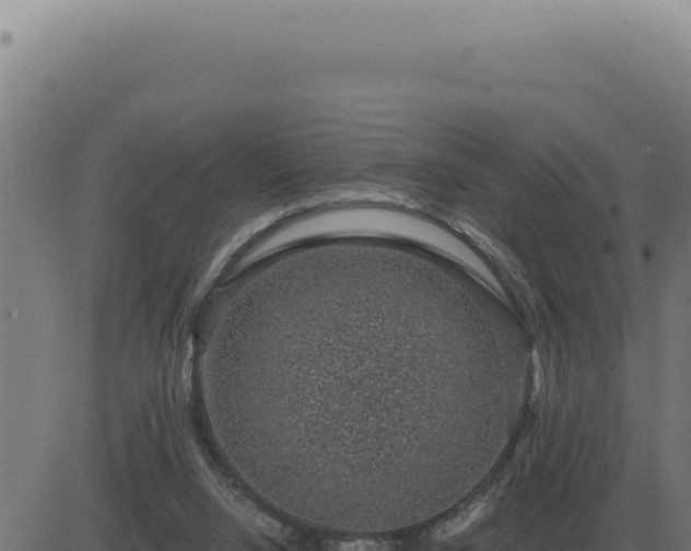 X0000083580064200702162128