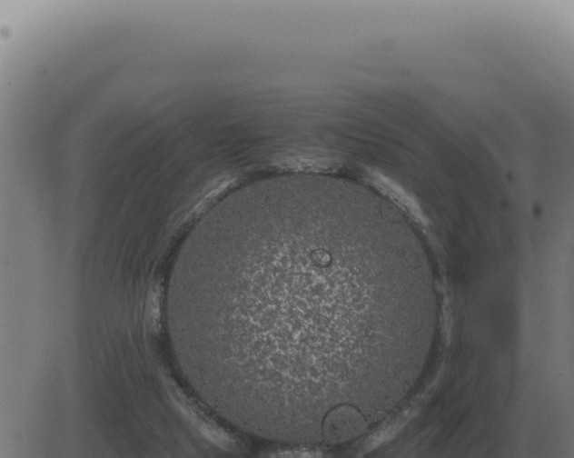 X0000083580065200702162128