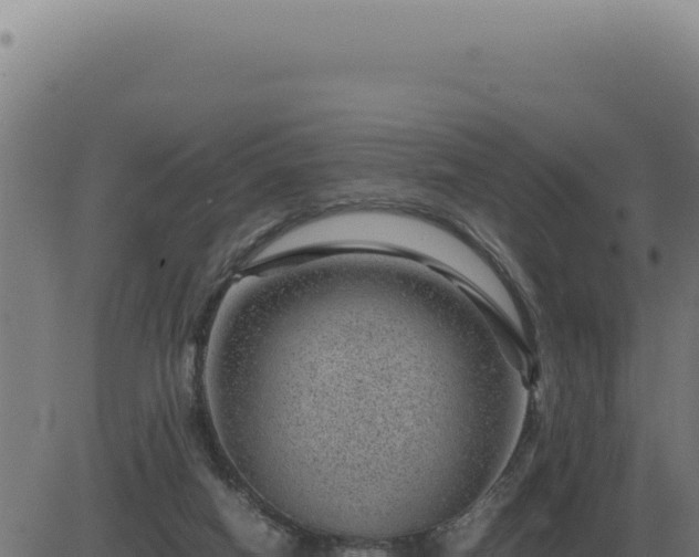 X0000083580066200702162128