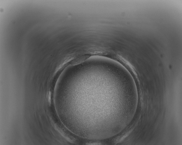 X0000083580067200702162128