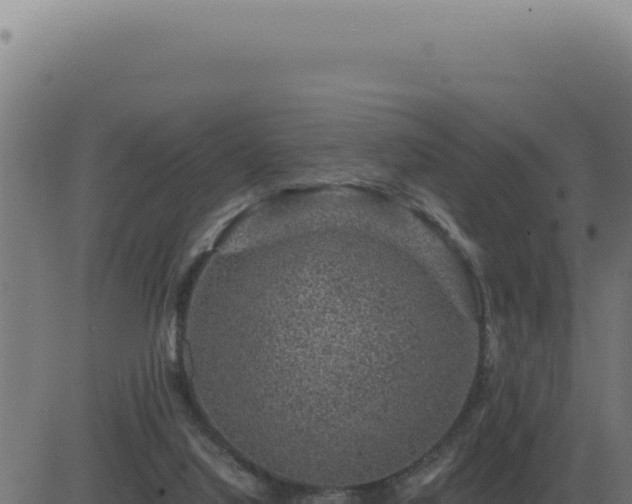 X0000083580068200702162128