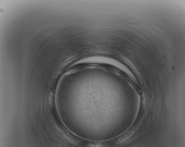 X0000083580071200702162128