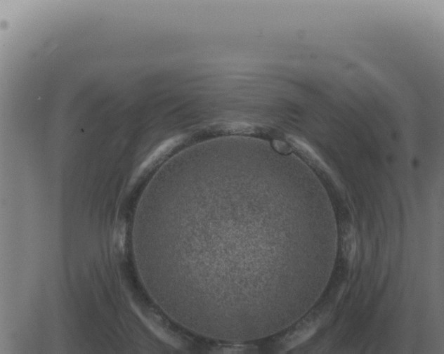 X0000083580072200702162128