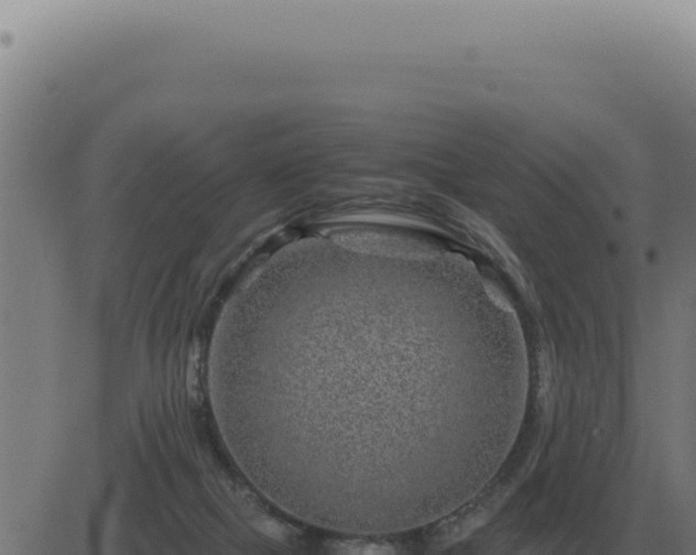 X0000083580073200702162128