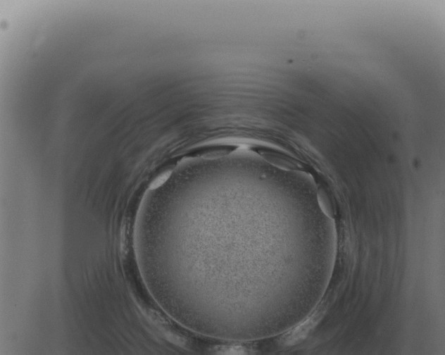 X0000083580074200702162128