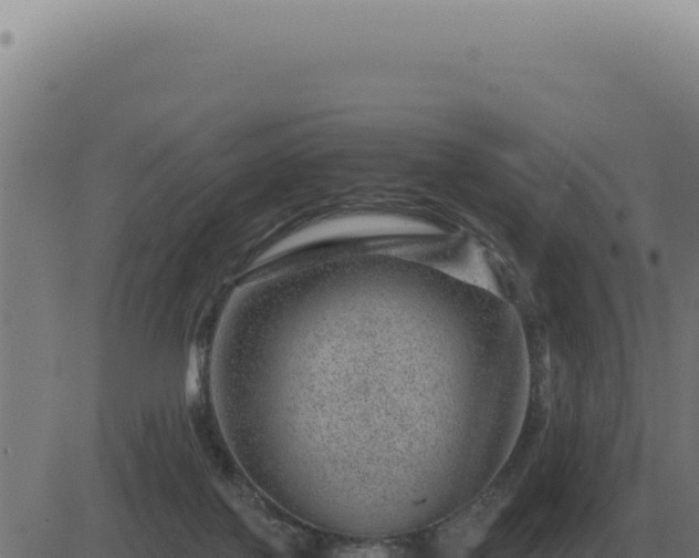 X0000083580075200702162128