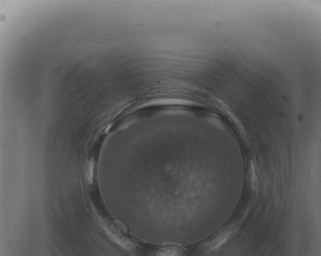 X0000083580076200702162128