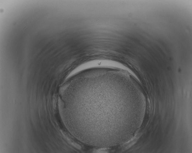 X0000083580078200702162128