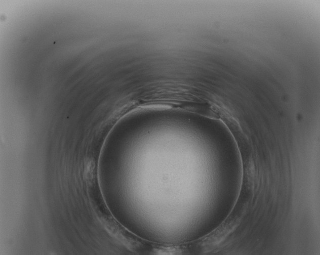 X0000083580079200702162128