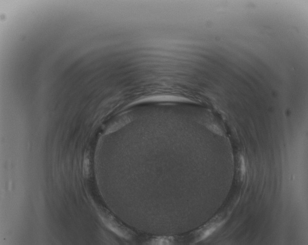 X0000083580080200702162128