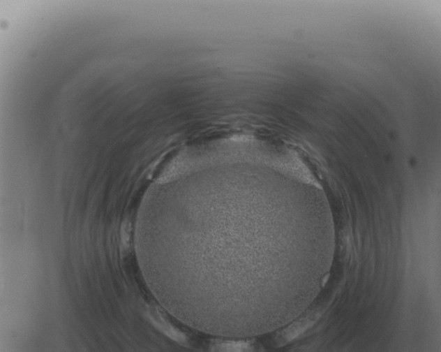 X0000083580081200702162128