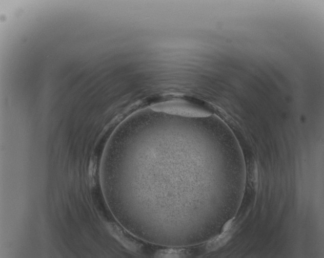 X0000083580082200702162128