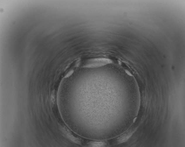 X0000083580085200702162128