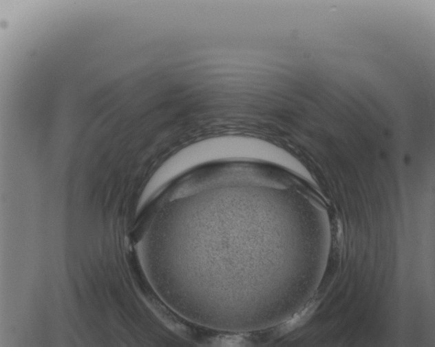 X0000083580086200702162128