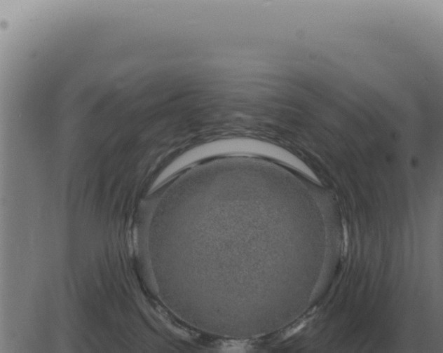 X0000083580088200702162128