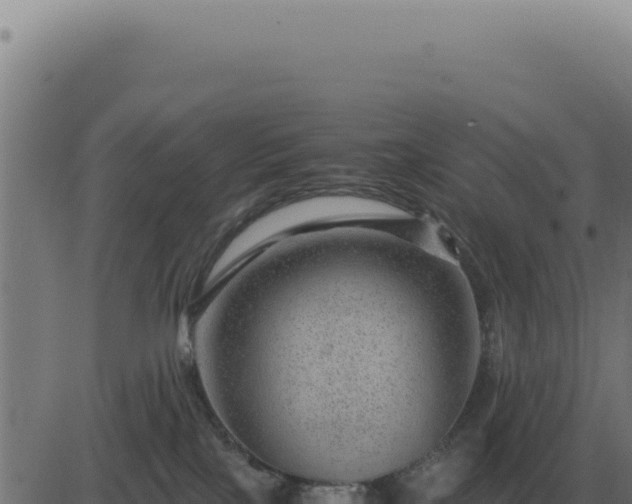 X0000083580089200702162129