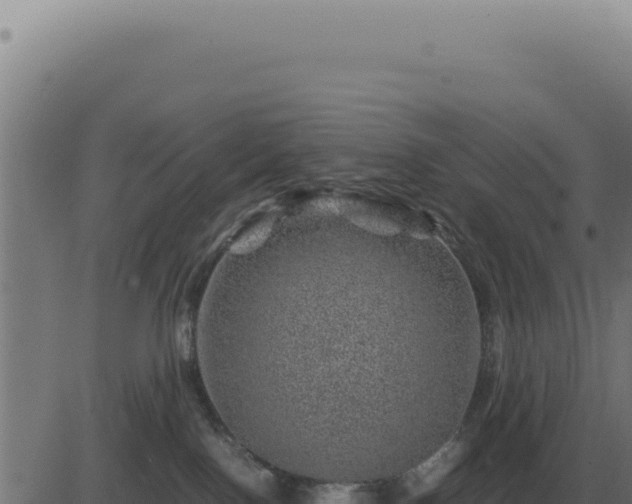 X0000083580090200702162129