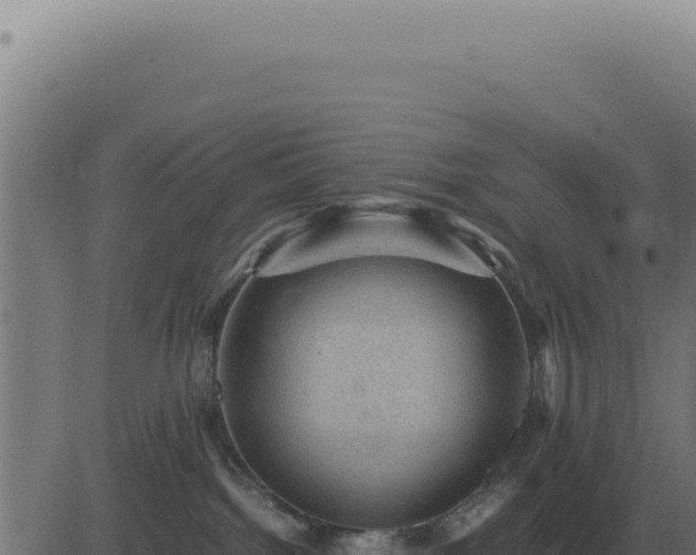 X0000083580092200702162129