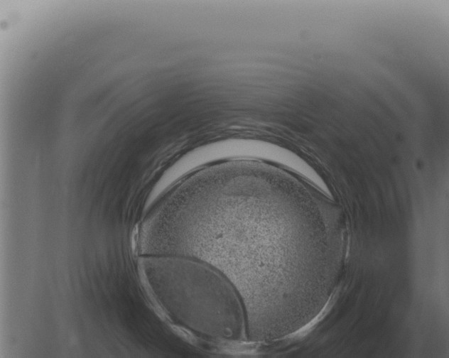 X0000083580094200702162129