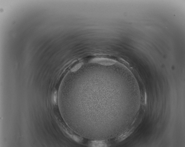 X0000083580095200702162129