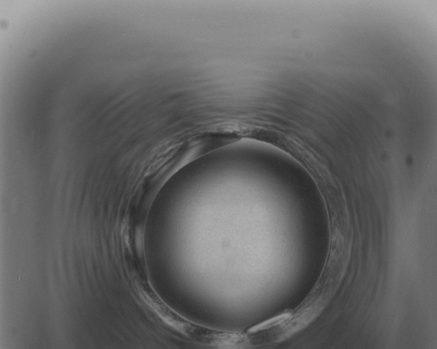 X0000083580096200702162129