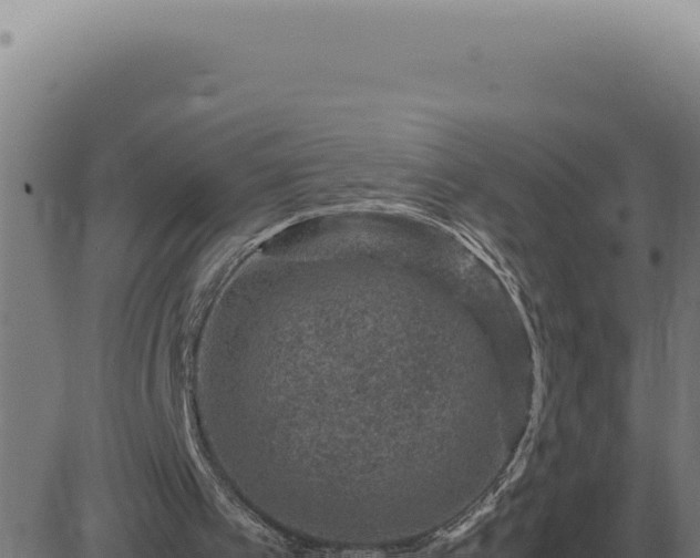 X0000083580097200702162128