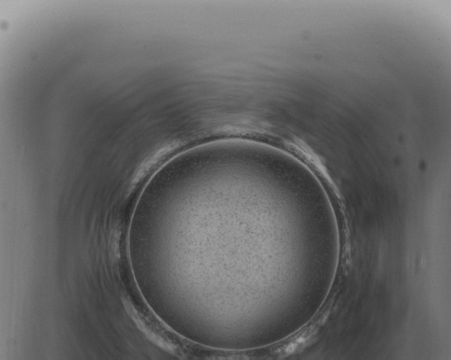 X0000083580106200702162128