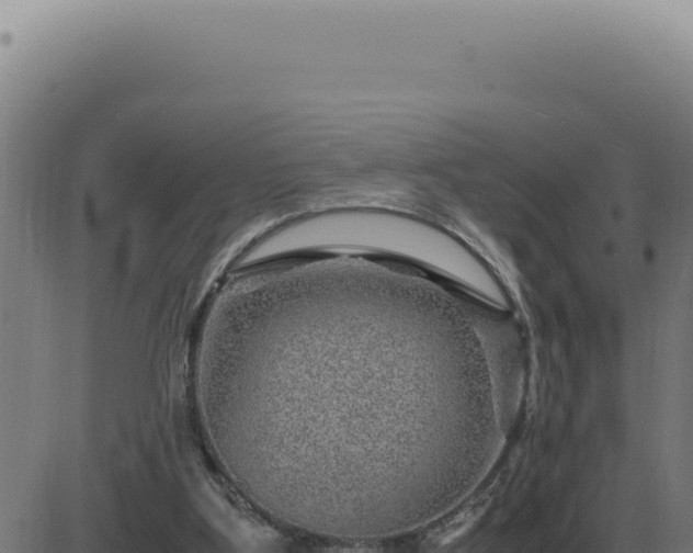 X0000083580107200702162128